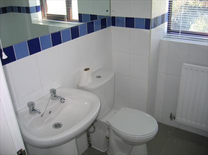 1741155960-o_1il15ti0c1hoj1n0i1bm11ku1h929.JPG_homepage.JPG