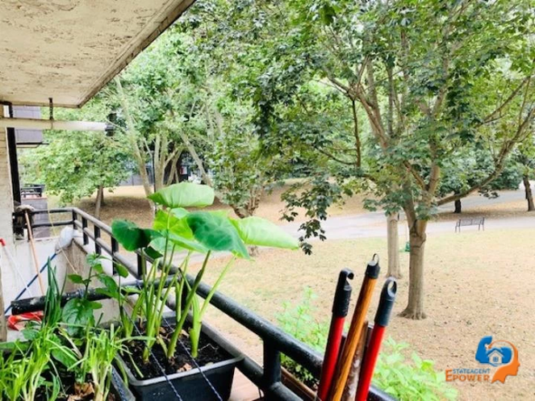 one-bedroom-apartment-with-a-balcony-and-a-view-of-the-park-9221743505870
